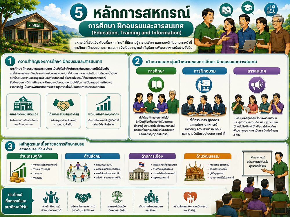 Cooperative principles05