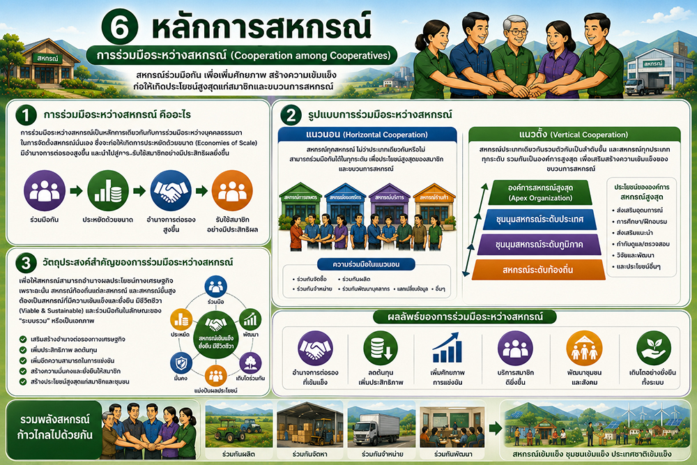 Cooperative principles06