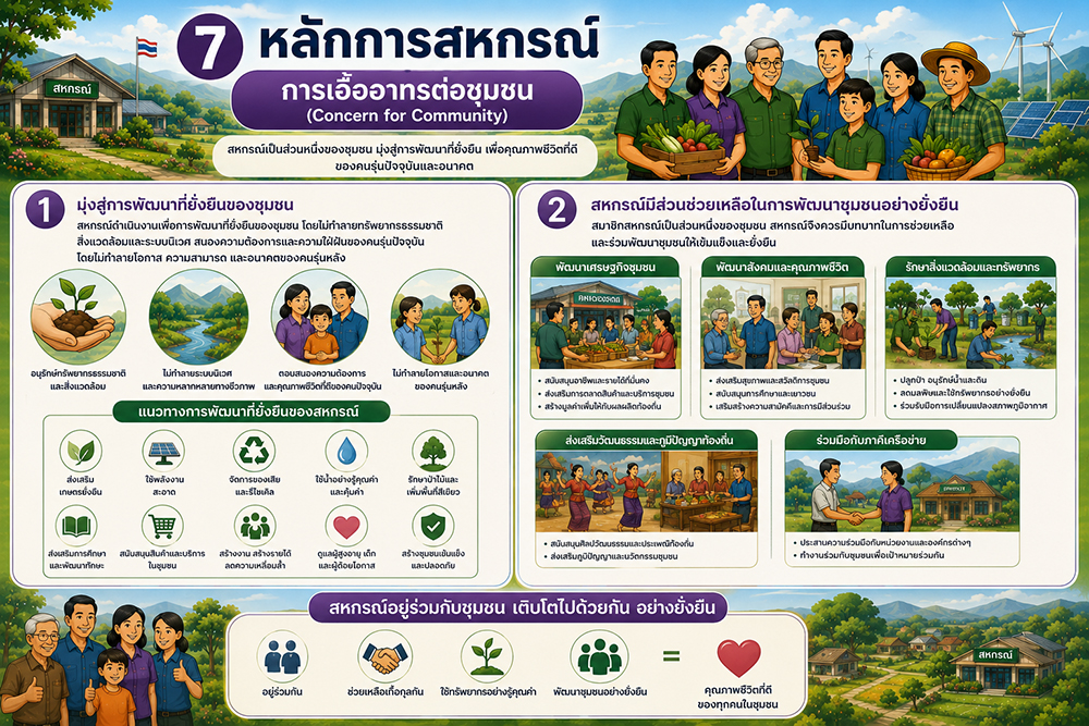 Cooperative principles07