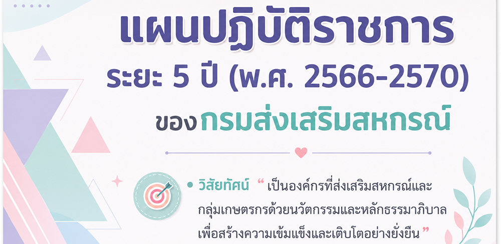 action plan 5 year
