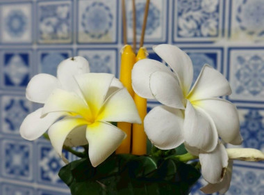 นั่งเรือ หิ้วปิ่นโต ฟังธรรม นำบุญ พารามิเตอร์รูปภาพ 49