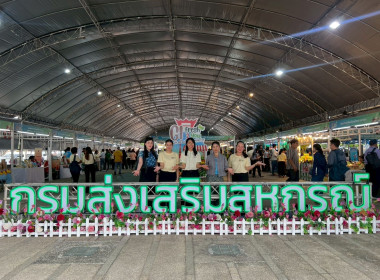 งานแสดงและจำหน่ายสินค้าเกษตรปลอดภัยและสินค้าเกษตรอัตลักษณ์พื้นที่ถิ่น ... พารามิเตอร์รูปภาพ 3