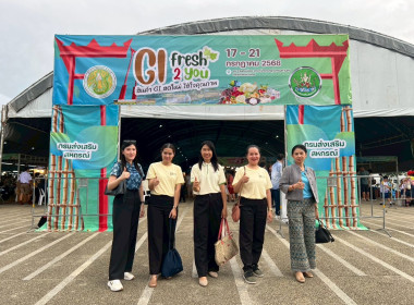 งานแสดงและจำหน่ายสินค้าเกษตรปลอดภัยและสินค้าเกษตรอัตลักษณ์พื้นที่ถิ่น ... พารามิเตอร์รูปภาพ 1