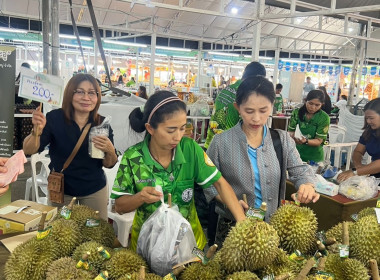งานแสดงและจำหน่ายสินค้าเกษตรปลอดภัยและสินค้าเกษตรอัตลักษณ์พื้นที่ถิ่น ... พารามิเตอร์รูปภาพ 4