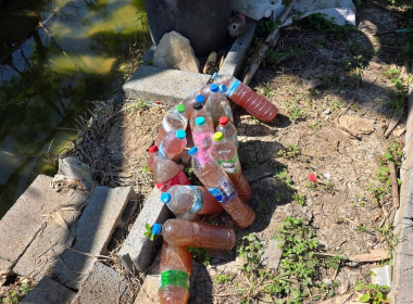 ประสานงานบ้านมั่นคง ให้ร่วมโครงการปรัชญาเศรษฐกิจพอเพียง ... พารามิเตอร์รูปภาพ 3