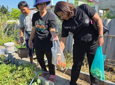 ประสานงานบ้านมั่นคง ให้ร่วมโครงการปรัชญาเศรษฐกิจพอเพียง ... พารามิเตอร์รูปภาพ 4