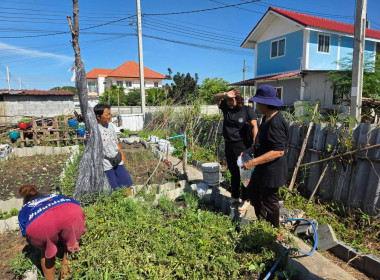 ประสานงานบ้านมั่นคง ให้ร่วมโครงการปรัชญาเศรษฐกิจพอเพียง ... พารามิเตอร์รูปภาพ 5