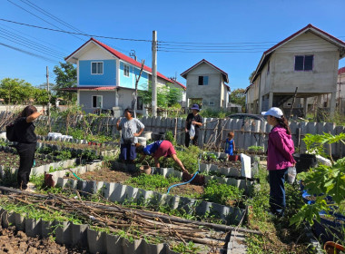 ประสานงานบ้านมั่นคง ให้ร่วมโครงการปรัชญาเศรษฐกิจพอเพียง ... พารามิเตอร์รูปภาพ 6