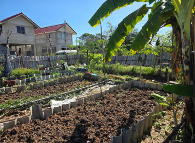 ประสานงานบ้านมั่นคง ให้ร่วมโครงการปรัชญาเศรษฐกิจพอเพียง ... พารามิเตอร์รูปภาพ 7
