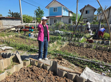 ประสานงานบ้านมั่นคง ให้ร่วมโครงการปรัชญาเศรษฐกิจพอเพียง ... พารามิเตอร์รูปภาพ 8