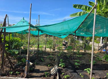 ประสานงานบ้านมั่นคง ให้ร่วมโครงการปรัชญาเศรษฐกิจพอเพียง ... พารามิเตอร์รูปภาพ 9