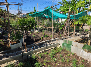 ประสานงานบ้านมั่นคง ให้ร่วมโครงการปรัชญาเศรษฐกิจพอเพียง ... พารามิเตอร์รูปภาพ 10