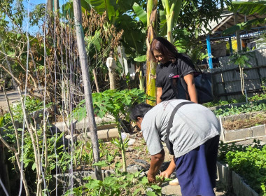 ประสานงานบ้านมั่นคง ให้ร่วมโครงการปรัชญาเศรษฐกิจพอเพียง ... พารามิเตอร์รูปภาพ 13