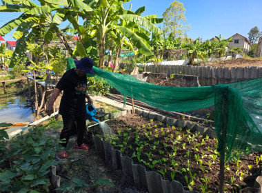 ประสานงานบ้านมั่นคง ให้ร่วมโครงการปรัชญาเศรษฐกิจพอเพียง ... พารามิเตอร์รูปภาพ 15