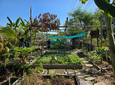 ประสานงานบ้านมั่นคง ให้ร่วมโครงการปรัชญาเศรษฐกิจพอเพียง ... พารามิเตอร์รูปภาพ 16