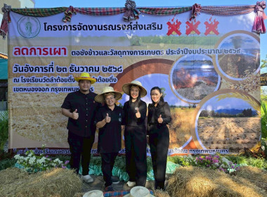 ลดเผาตอซังข้าว พารามิเตอร์รูปภาพ 2