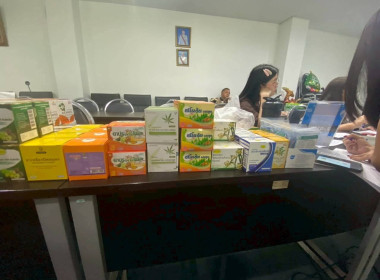 ดูแลสุขภาพด้านศาสตร์การแพทย์แผนไทย พารามิเตอร์รูปภาพ 13