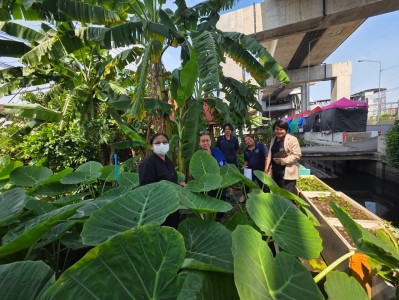 ลงพื้นที่แปลงเกษตรของสหกรณ์ผลงานการขับเคลื่อน ... พารามิเตอร์รูปภาพ 1