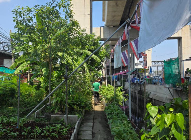 ลงพื้นที่แปลงเกษตรของสหกรณ์ผลงานการขับเคลื่อน ... พารามิเตอร์รูปภาพ 5