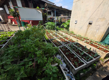 ลงพื้นที่แปลงเกษตรของสหกรณ์ผลงานการขับเคลื่อน ... พารามิเตอร์รูปภาพ 7