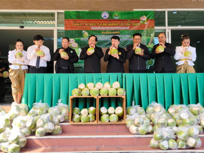 กระจายผลผลิตมะพร้าวน้ำหอมโดยขบวนการสหกรณ์ พารามิเตอร์รูปภาพ 1