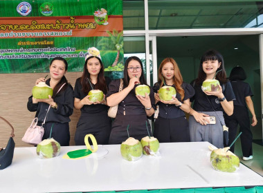 กระจายผลผลิตมะพร้าวน้ำหอมโดยขบวนการสหกรณ์ พารามิเตอร์รูปภาพ 8