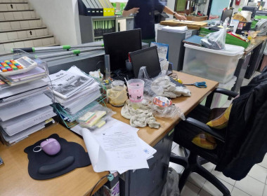 Big Cleaning Day ครั้งที่ 1 พารามิเตอร์รูปภาพ 17